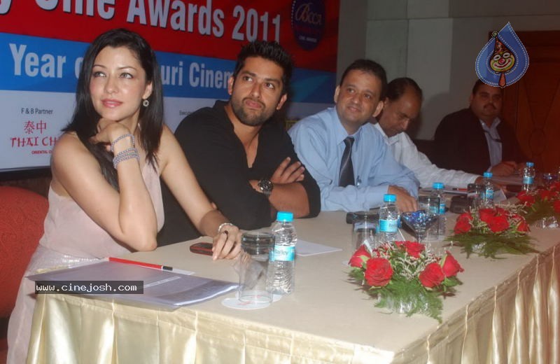 Bhojpuri Cine Awards Press Meet - 11 / 45 photos