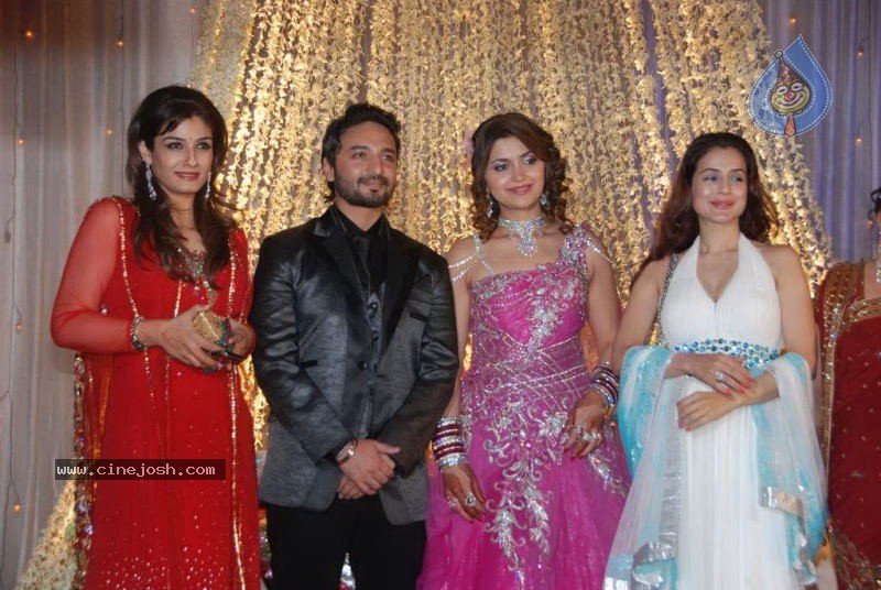 Bolly Celebs at Banpreet Singh Son Wedding - 18 / 41 photos