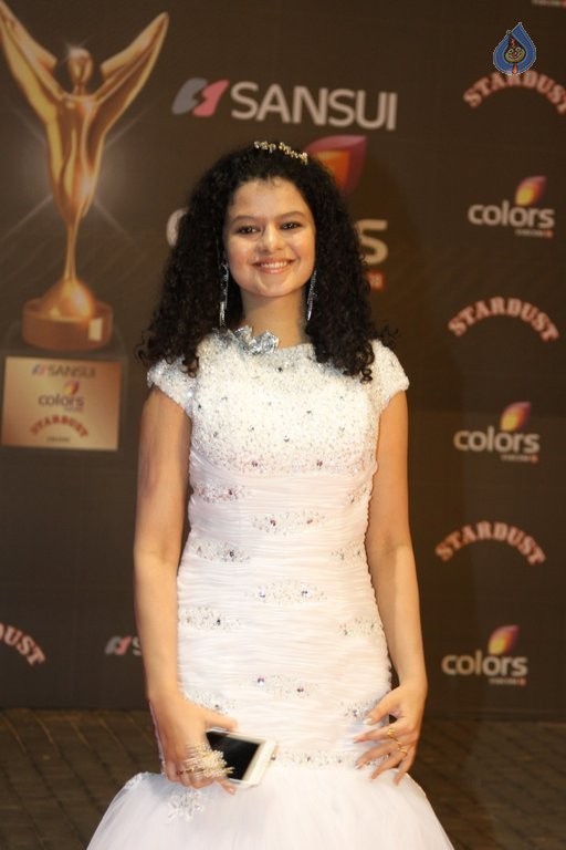 Bollywood Celebrities at Stardust Awards 1 - 9 / 58 photos