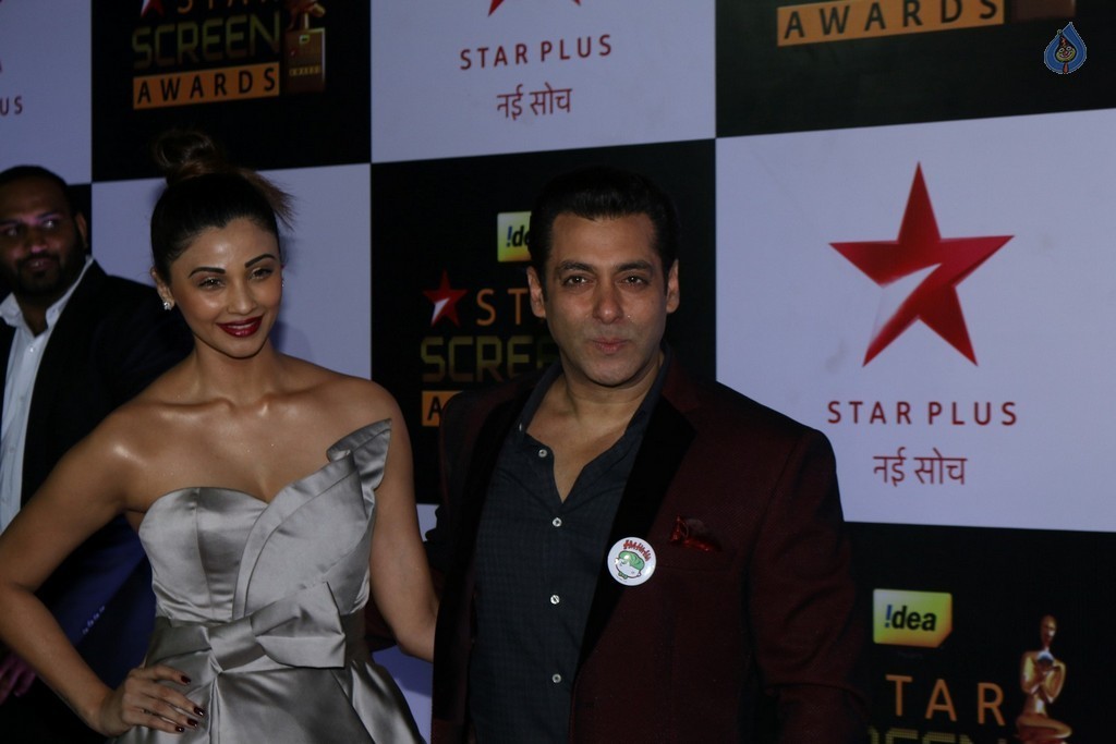 Celebrities at Star Screen Awards 2016 Event 2 - 9 / 71 photos