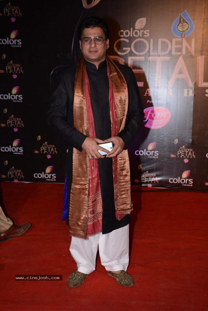 Colors Golden Petal Awards 2013 Red Carpet - 25 / 50 photos