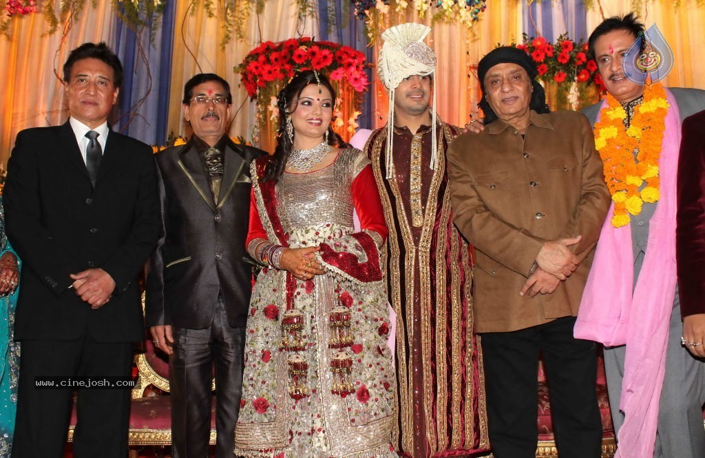 Deepshikha Wedding Reception - 16 / 41 photos