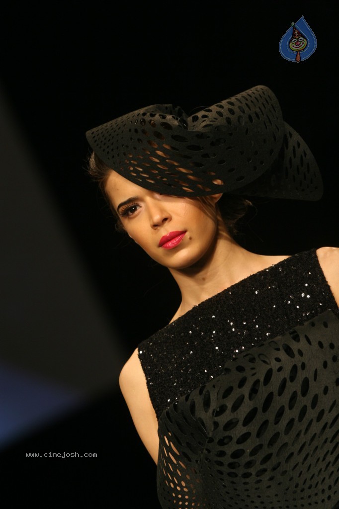 Lakme Fashion Week Grand Finale All Shows - 64 / 146 photos