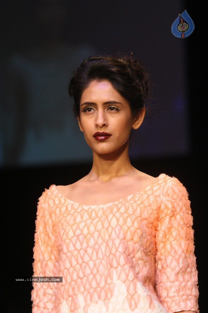 Lakme Fashion Week Grand Finale All Shows - 94 / 146 photos