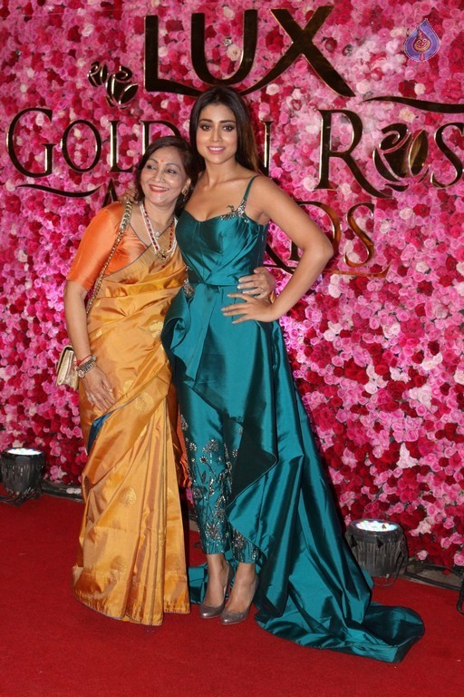 Lux Golden Awards Red Carpet 2 - 4 / 28 photos