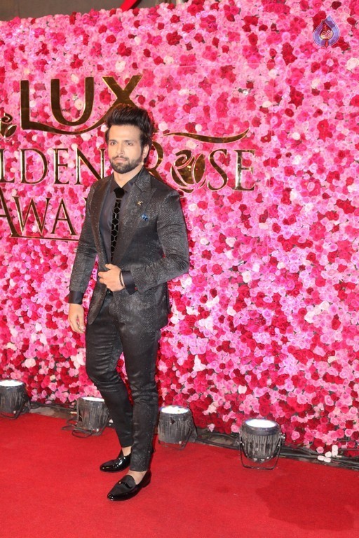 Lux Golden Awards Red Carpet 2 - 18 / 28 photos