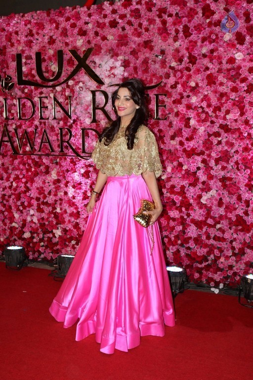 Lux Golden Awards Red Carpet 2 - 25 / 28 photos