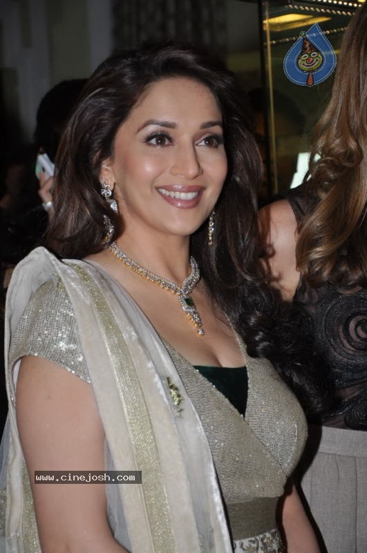 Madhuri Dixit at Emeralds for Elephants Launch - 4 / 29 photos