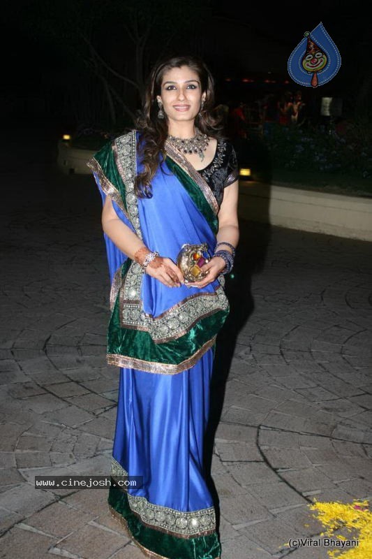 Sameer Neelam Wedding Reception - 10 / 57 photos