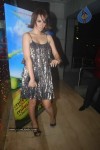 Bolly Celebs at Miley Naa Miley Hum Premiere Show - 26 of 62