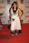 Celebs at Colors Screen Awards 2012 - 18 of 241