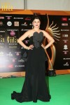 Celebs at IIFA Awards Green Carpet  - 69 of 64