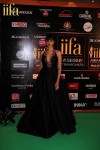 Celebs at IIFA Awards Green Carpet  - 20 of 64