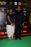 Celebs at IIFA Awards Green Carpet  - 35 of 64