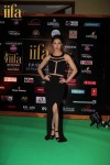 Celebs at IIFA Awards Green Carpet  - 37 of 64