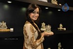 Dia Mirza Unveils Adler and Roth New Collection - 23 of 40