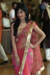 Genelia n Ritesh Wedding Photos - 109 of 176