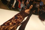 Lakme Fashion Week Grand Finale All Shows - 65 of 146