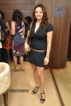 Celebs at Neelam Kothari Jewellery Showroom Launch - 40 of 57