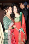 Saurab Vanzara Wedding Reception - 18 of 33