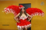 Tanisha Singh Christmas Theme Photo Shoot - 11 of 22