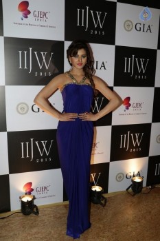 Urvashi Rautela at IIJW 2015 - 20 of 30