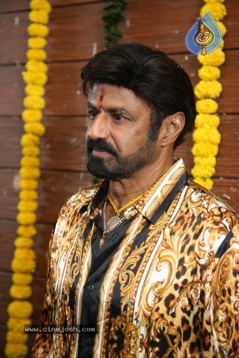 balakrishna latest movie review