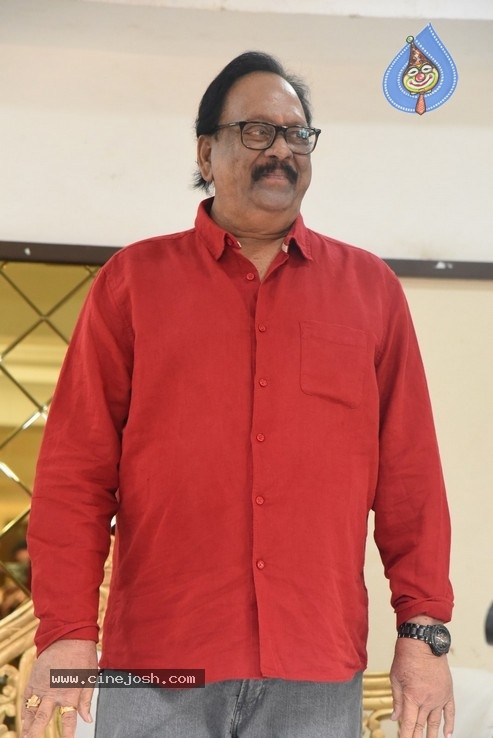 KrishnamRaju Birthday Celebrations - 12 / 36 photos