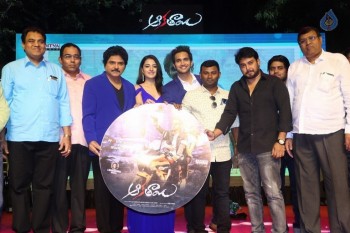 Aakatayi Movie Audio Launch - 12 of 57