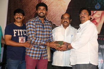 Affair Audio Launch Photos - 24 of 48