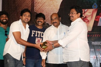 Affair Audio Launch Photos - 42 of 48