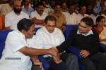 Allu Ramalingaiah Award Function - 41 of 135