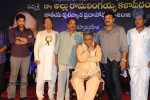 Allu Ramalingaiah Award Function - 85 of 135