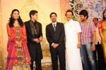 Anirudh Srikanth Wedding Reception - 17 of 19