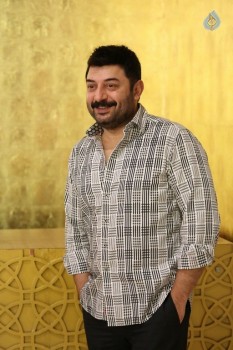 Arvind Swamy Interview Photos - 31 of 34