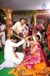 Aryan Rajesh Marriage Photos - 96 of 226