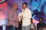 Baadshah Movie Success Meet - 24 of 180