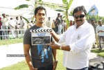 Baava Movie Opening Stills - 57 of 68