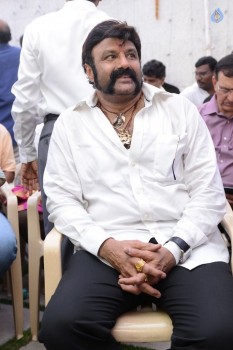 Balakrishana 101 Movie Opening 1 - 35 of 84