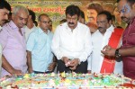 Nandamuri Balakrishna Bday 2014 Celebrations - 159 of 184