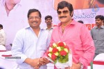 Balakrishna Birthday Celebrations  - 50 of 277