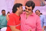 Balakrishna Birthday Celebrations  - 85 of 277