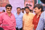 Balakrishna Birthday Celebrations  - 98 of 277