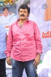 Balakrishna Birthday Celebrations  - 107 of 277