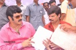 Balakrishna Birthday Celebrations  - 150 of 277