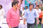 Balakrishna Birthday Celebrations  - 161 of 277