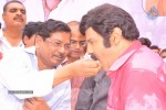 Balakrishna Birthday Celebrations  - 210 of 277