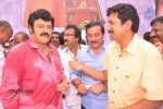 Balakrishna Birthday Celebrations  - 228 of 277