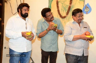 Balakrishna New Movie Opening - 39 of 40