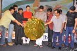 Basanti Movie Audio Launch - 165 of 262